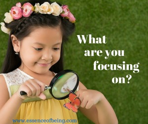 What are you focusing on- (3)